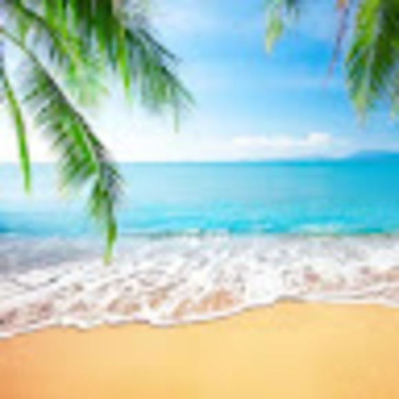 Meet your Posher, Stephanie - Picture 1 of 1